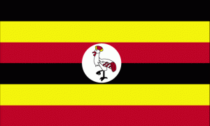 Nissi Project Uganda Community Impact